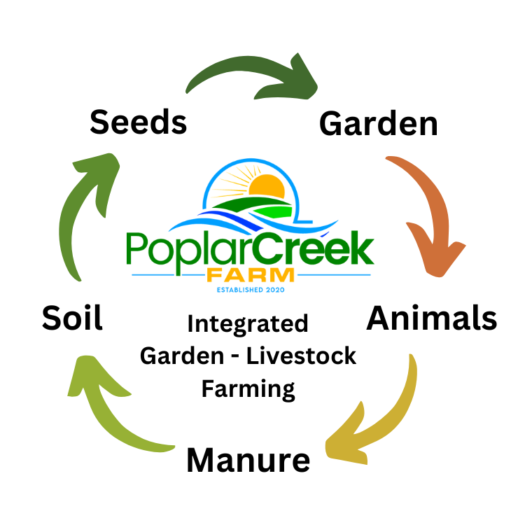 Intrgrated_Garden_Livestock_Farming_PoplarCreekFarm