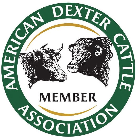 ADCA logo